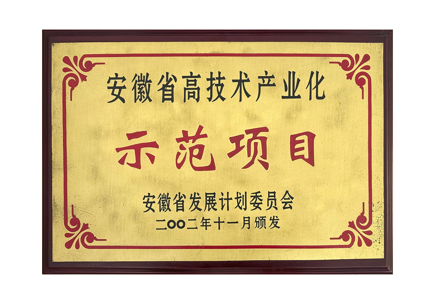 安徽省高技術(shù)產(chǎn)業(yè)化示范項目
